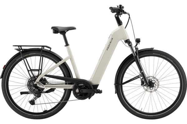 Pegasus Solero EVO 10 E-Bike Trekking