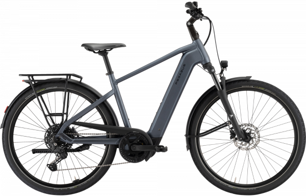 Pegasus Solero EVO 10 E-Bike Trekking