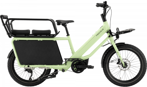 Pegasus FAMULO E-Lastenrad